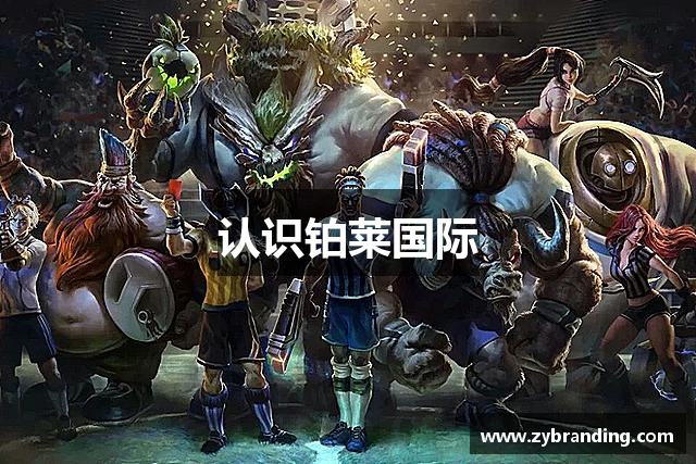 认识铂莱国际
