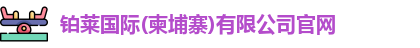 铂莱国际